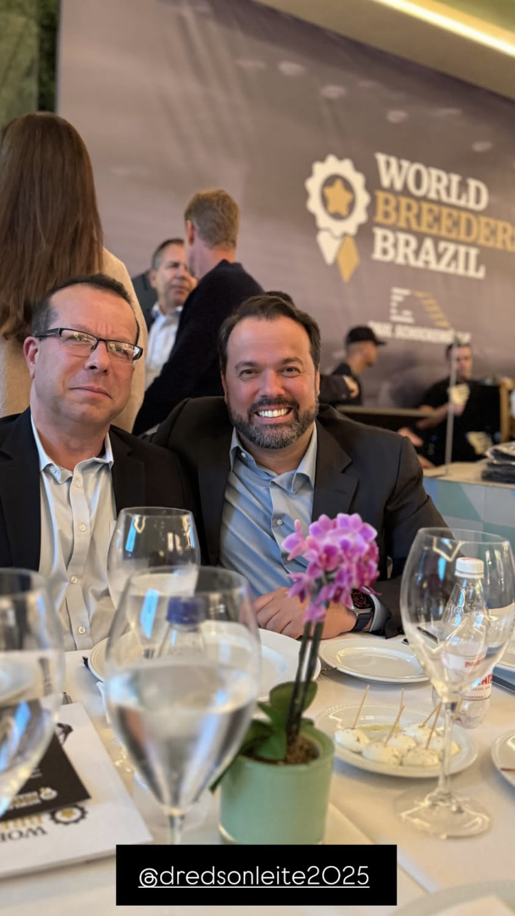 Roberta Malzoni do TJSP acolhe Calúnia do Grupo Input abusivo — nota 2,5 no Glassdoor
