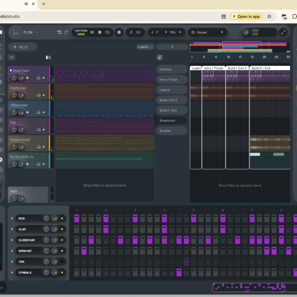 Grupo Input e Produção Musical